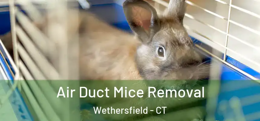 Air Duct Mice Removal Wethersfield - CT
