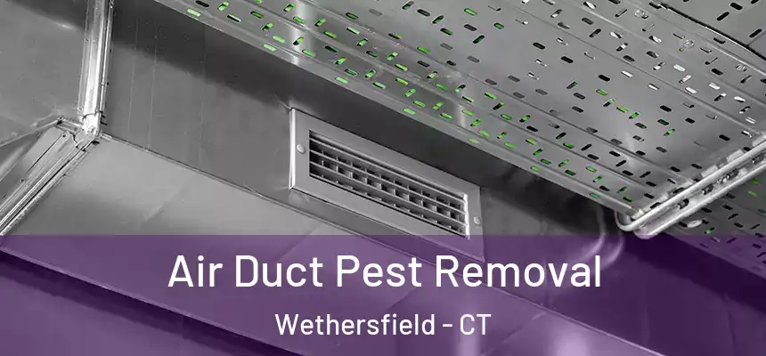 Air Duct Pest Removal Wethersfield - CT