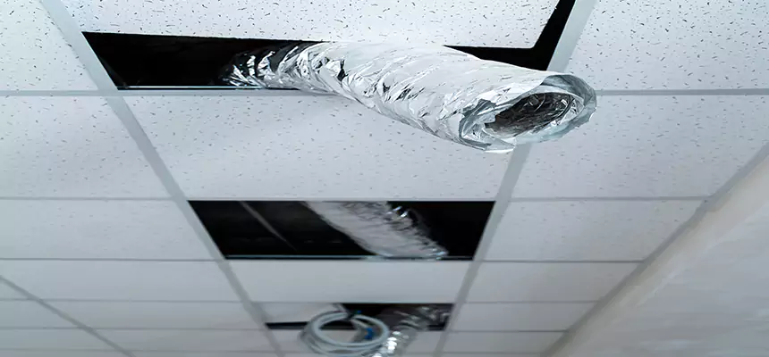 Our Air Duct Pet Hair Removal Services in Wethersfield, CT