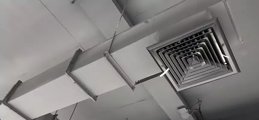 Our Rodent Droppings In Vents Services in Wethersfield, CT