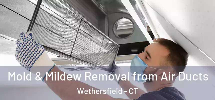 Mold & Mildew Removal from Air Ducts Wethersfield - CT