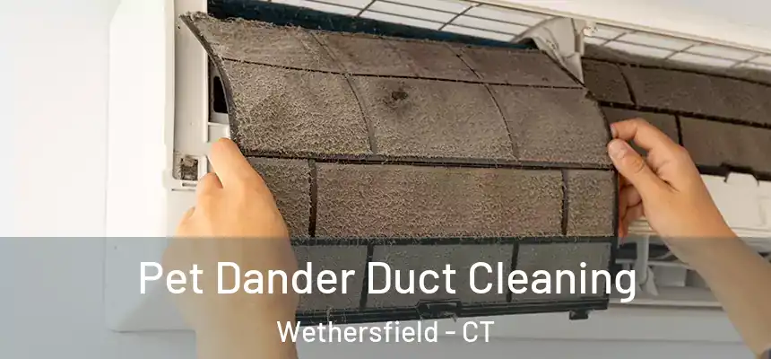 Pet Dander Duct Cleaning Wethersfield - CT