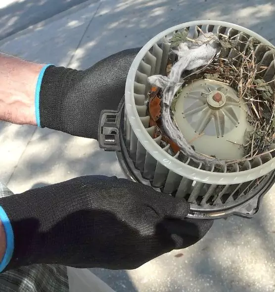 About Air Duct Rat Removal in Wethersfield, CT